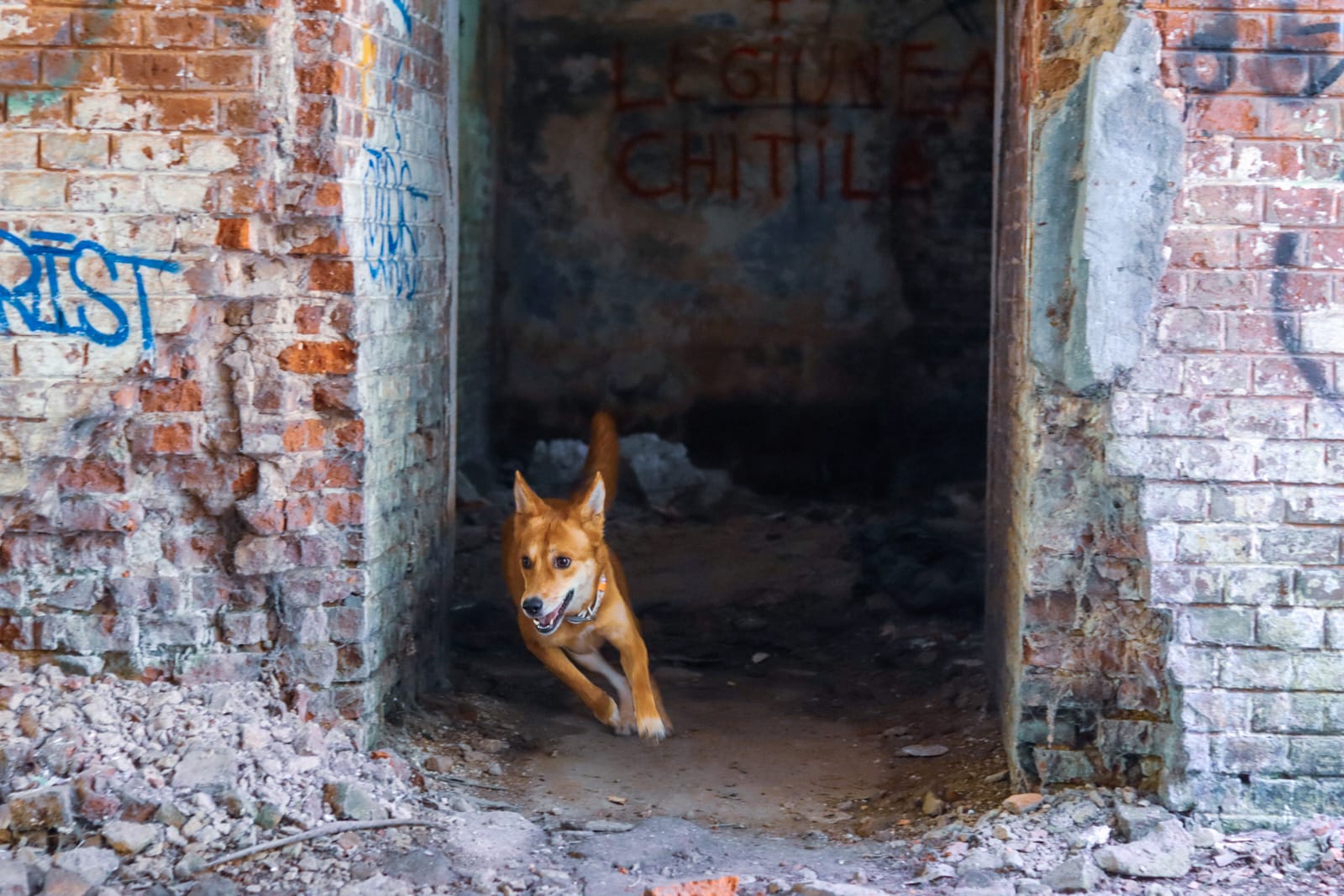 1c6c15d7-0a84-4fb7-9100-9f62af566b79