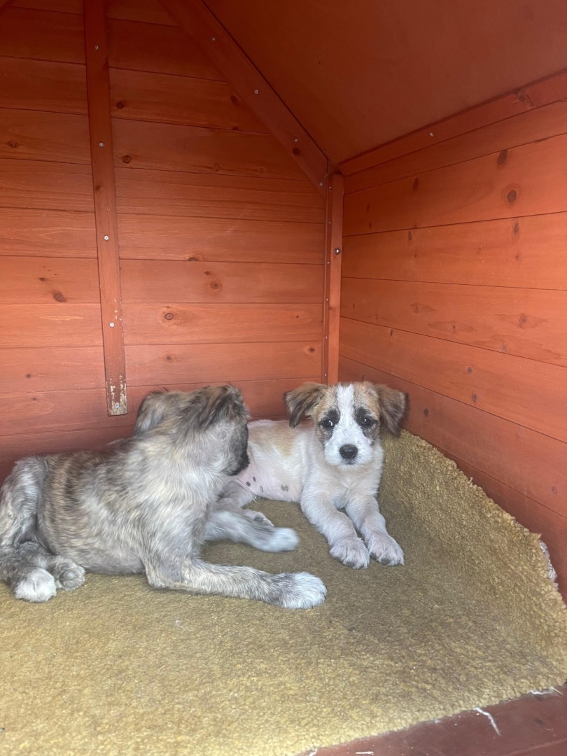 1de5067a-5a4f-48a0-9823-380086554750