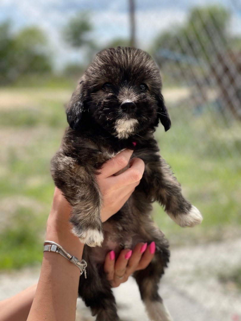 25c66cbe-9271-41c8-9244-f502557f0aec