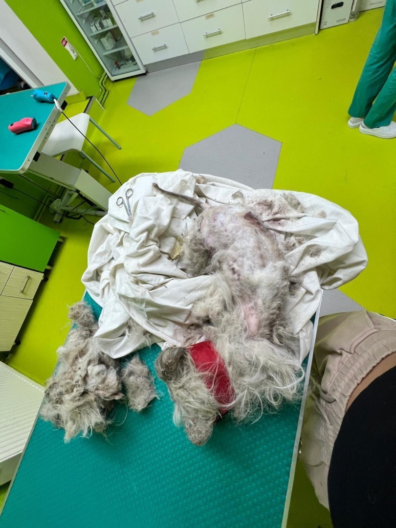 3a0d8540-fca9-4c90-84c5-5e7994609b14