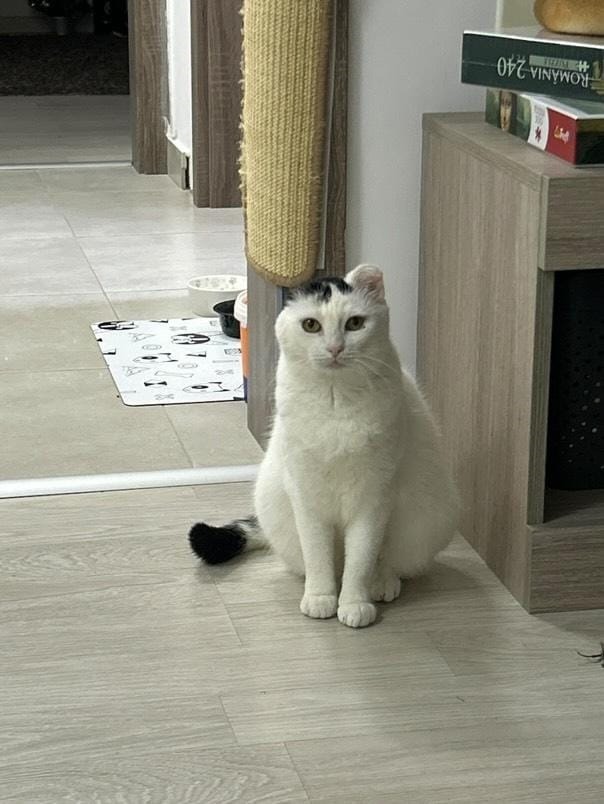 3f329340-29f1-433a-9416-f15a2883f7ec