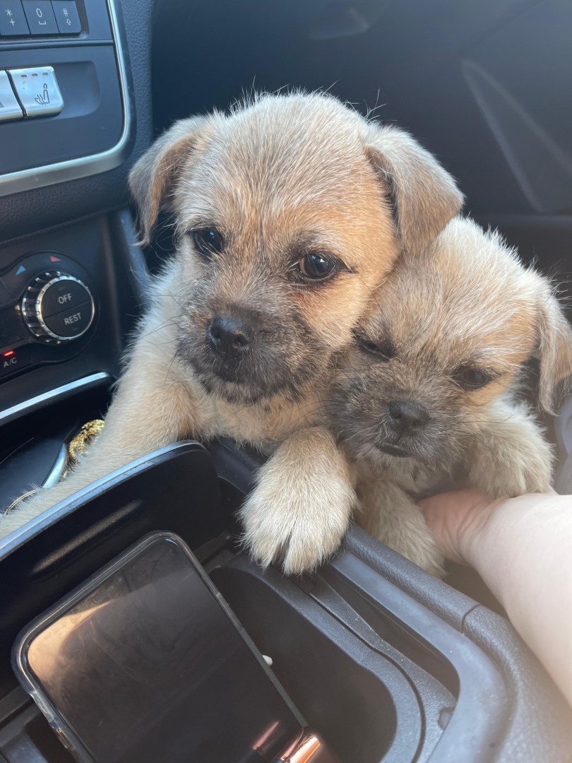 423b6934-43c6-4df2-a266-b98d0f304e50