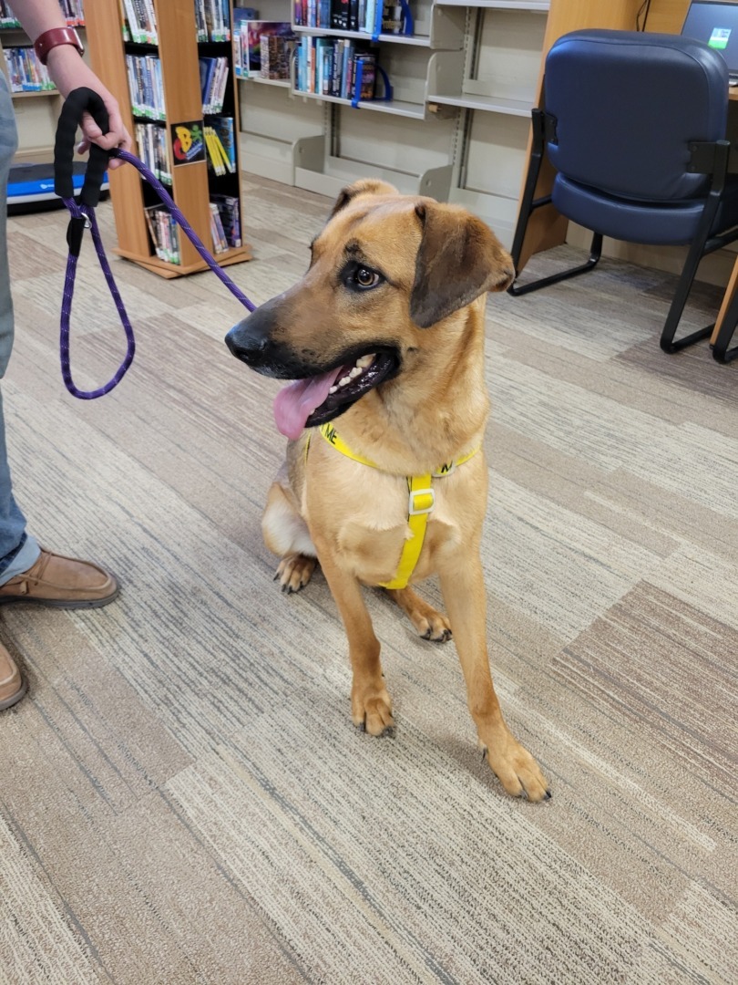 489678830_1077713634386913_7928346650312518339_n