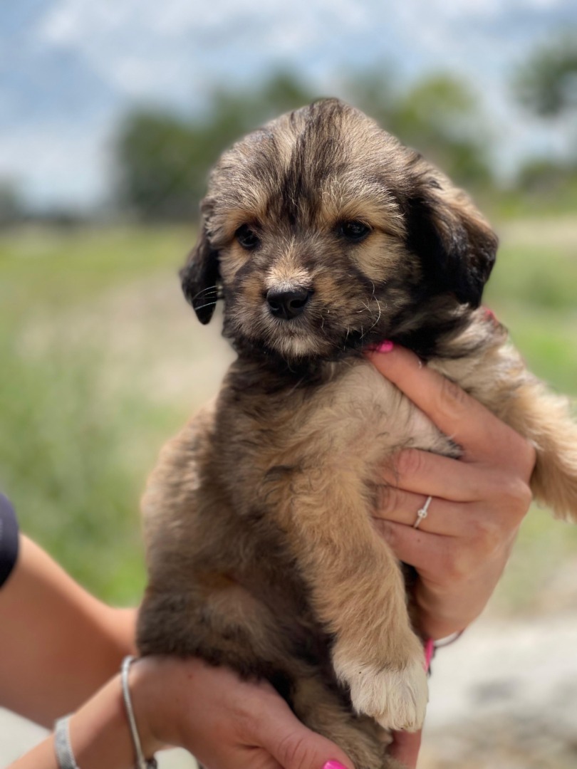 48f616ef-4059-424c-80d9-6b37ddb32aa6