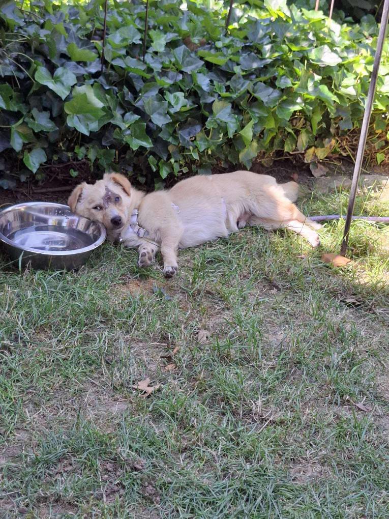 499206544_751527957209366_3368020153354713114_n