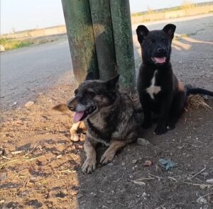 500959005_2559058627768503_4567156064337505723_n