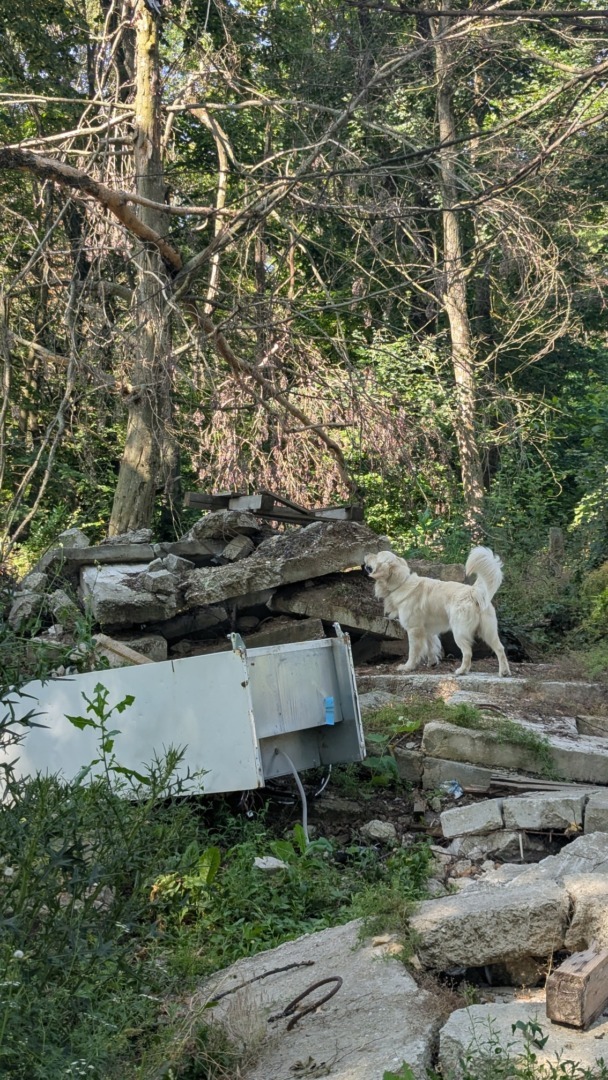 503930122_1016072600699634_9013628799876587675_n