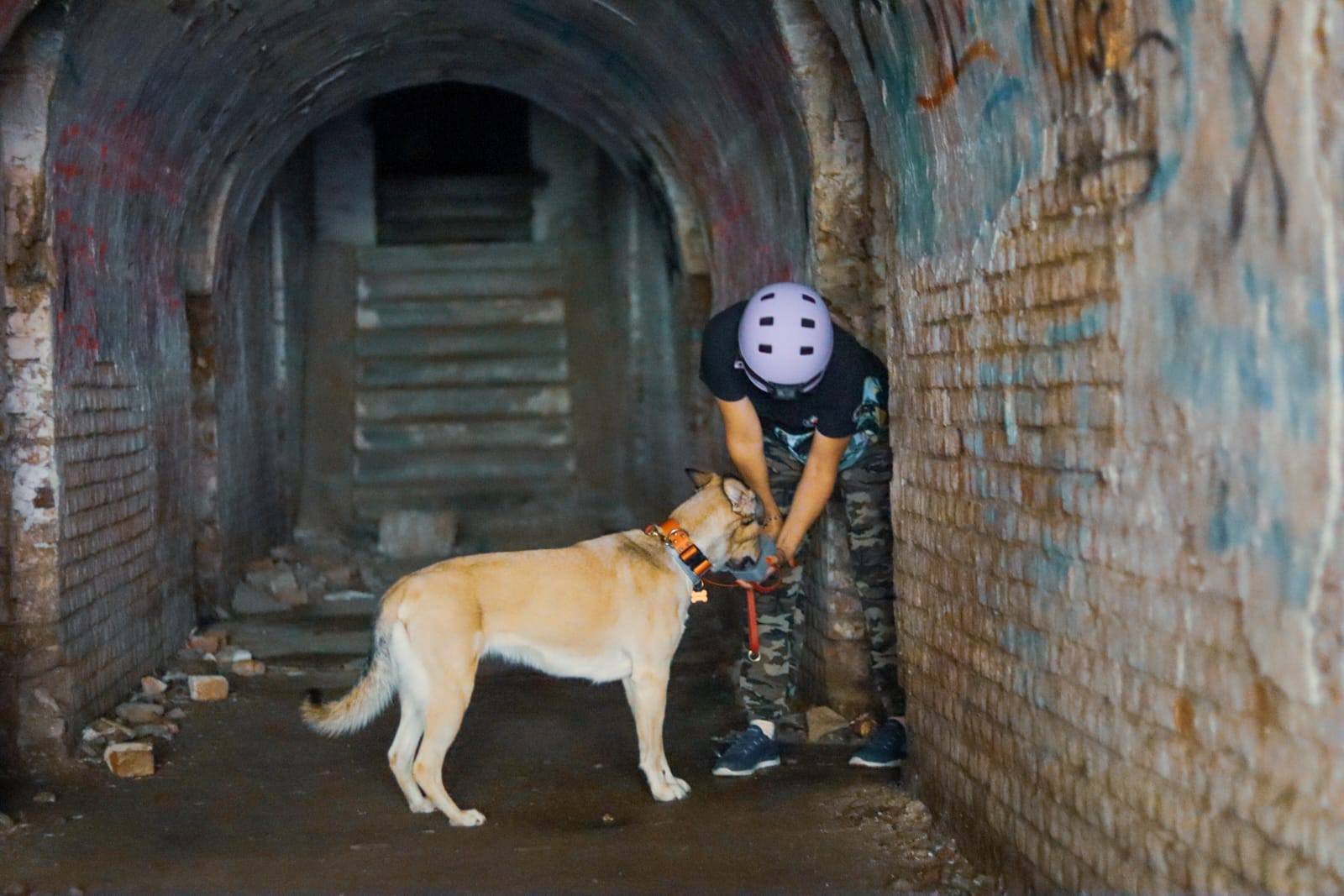 504116442_1009392344700993_1293712487195400939_n