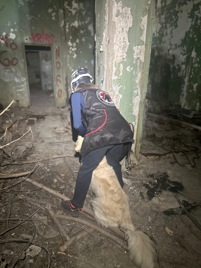 504378350_1019248403715387_2560029587046651042_n