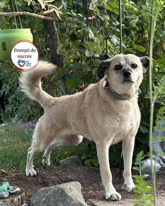 504379485_754974043531424_1650550560868514407_n