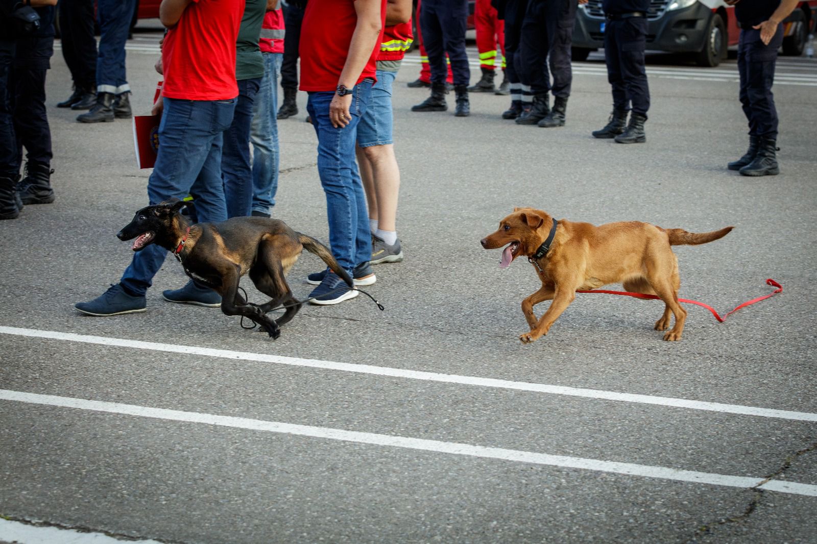 504381886_1019248043715423_5609628985796865795_n