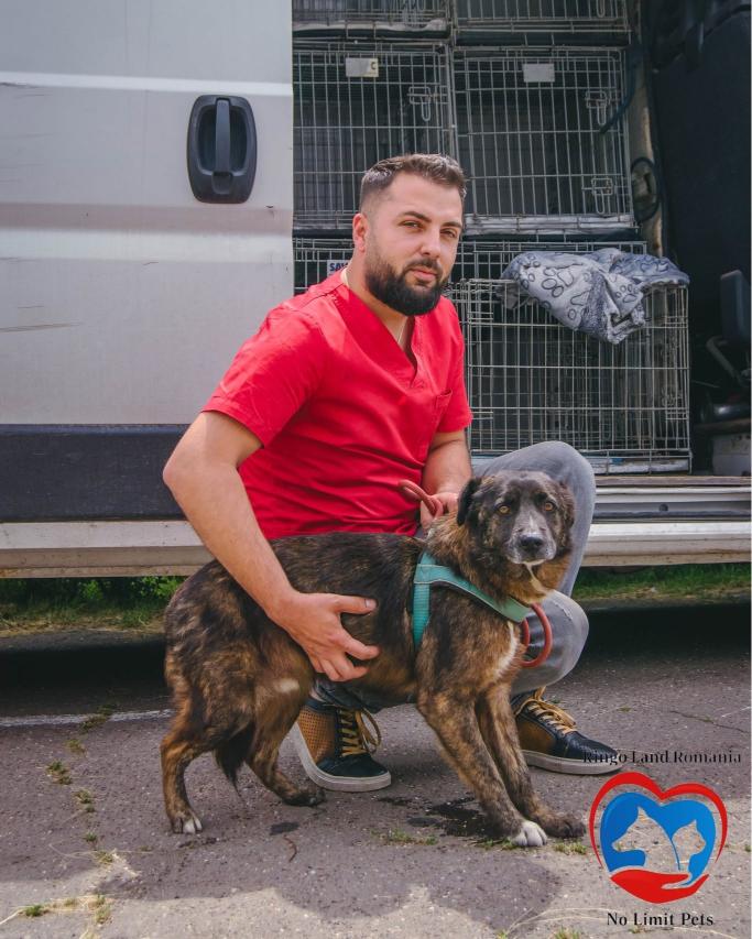 504426795_742892634739565_8126309095394099112_n