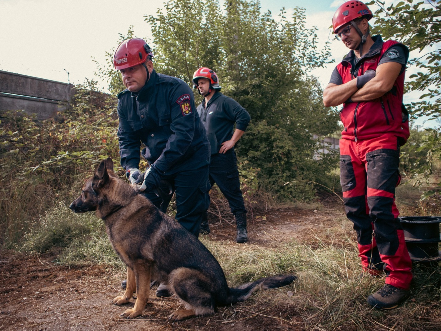 504429359_1162257592612244_3332836984169696000_n