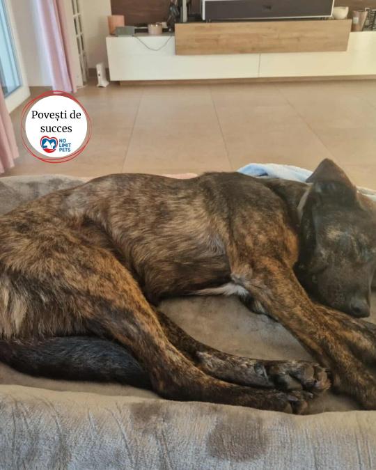 504431305_754973930198102_4050344956682362145_n