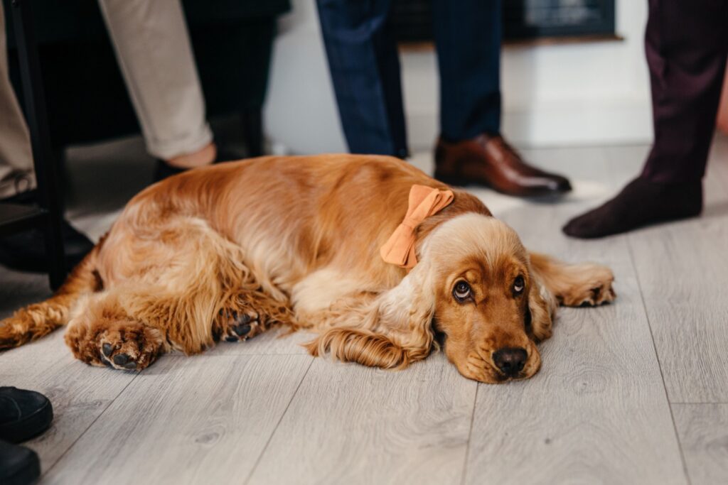 504638652_1413298729953472_4735215403574452453_n