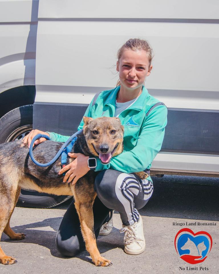 504864950_742892684739560_5906053631575561587_n