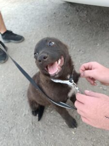 505197312_897175029257677_3388633833395357216_n