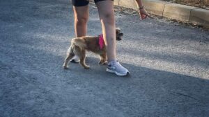 505225576_1819400218996745_7549939868888130157_n