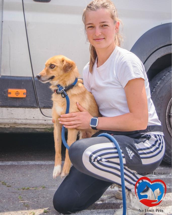 505498396_742892534739575_4445297652972511923_n