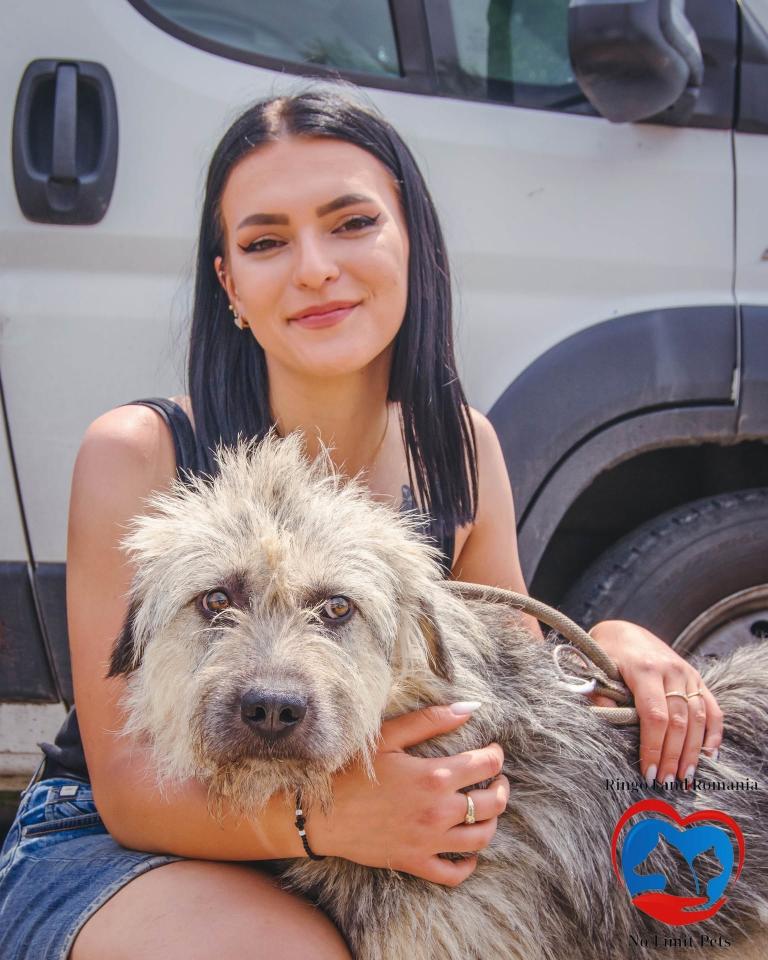 505730774_742892681406227_6423253598157426423_n