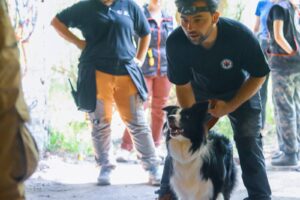 Câine utilitar alături de instructor