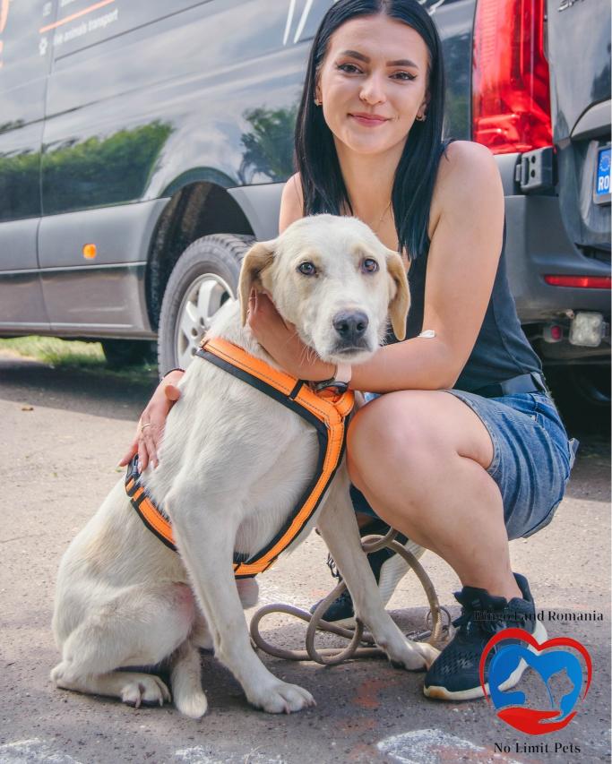 506531718_742892594739569_4664272250183656917_n