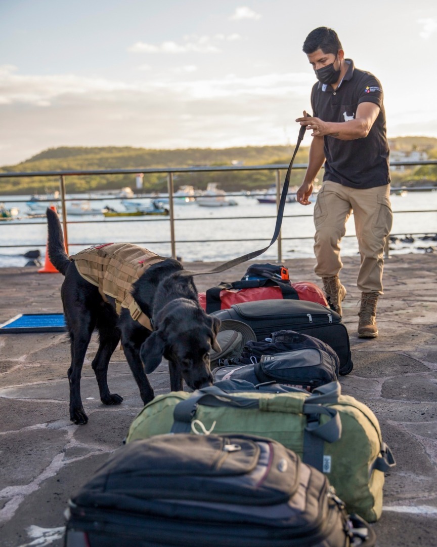 507684907_1118677733628008_8814918221027186662_n