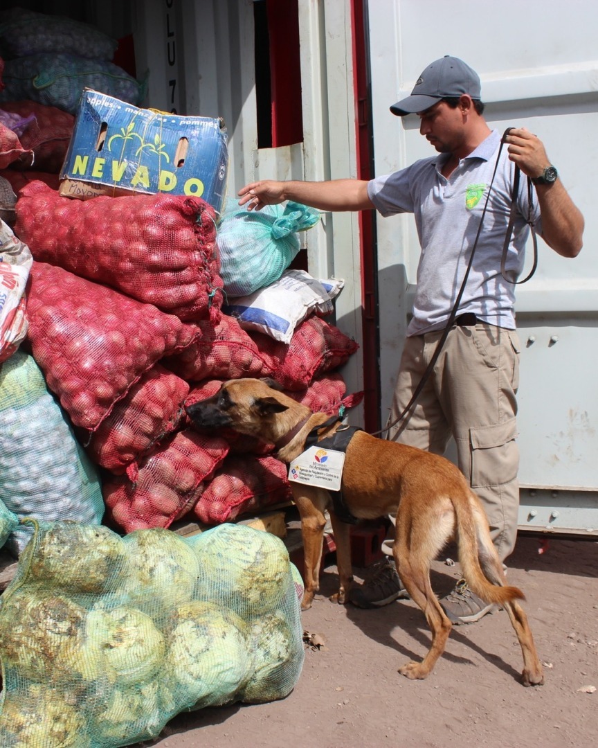 508107166_1118677710294677_6559074028184698733_n