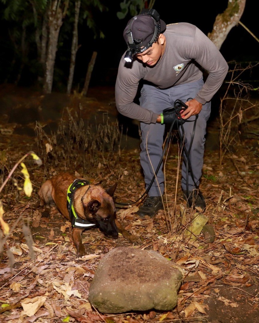 508956857_1118677716961343_6893564230145407915_n