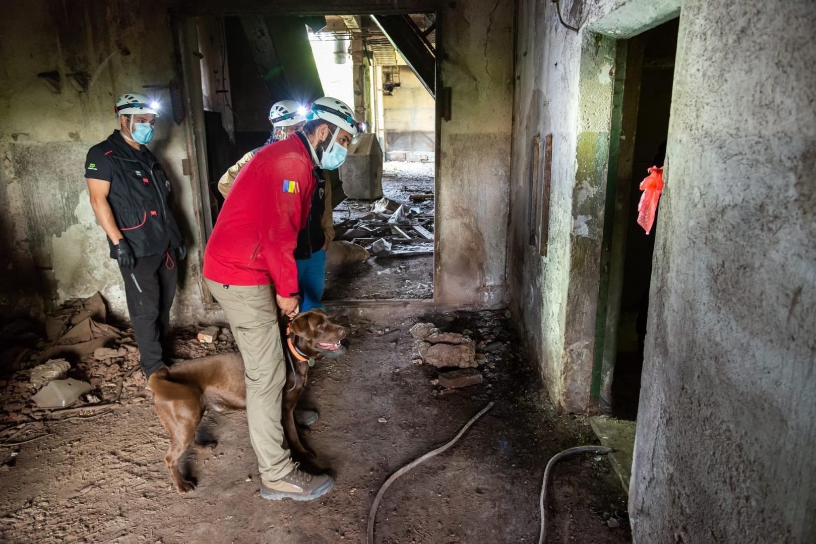 510563673_1015010830805811_8476338349163234088_n