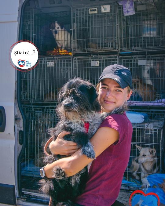 510875202_753364963692332_5623359691106623640_n