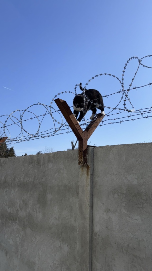 511313015_705361858935371_2878239248003799583_n