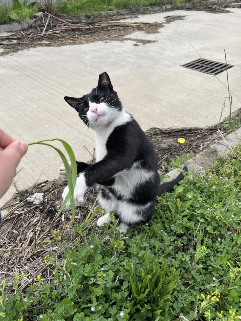 512688442_705361838935373_1754665363469061524_n