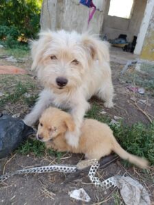 513518524_520623361077682_6472675043141369558_n