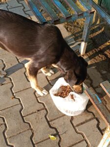 513531858_1090665929794390_2663525273464890688_n