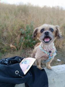 513542820_3600954996876758_3621381681828108431_n