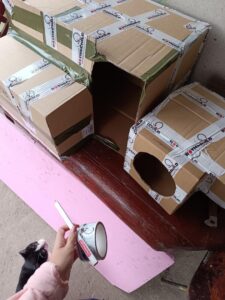 513908748_608914228896478_993024464394833887_n