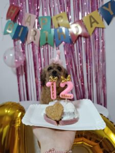 514243386_1259939109191465_3880856624517585736_n