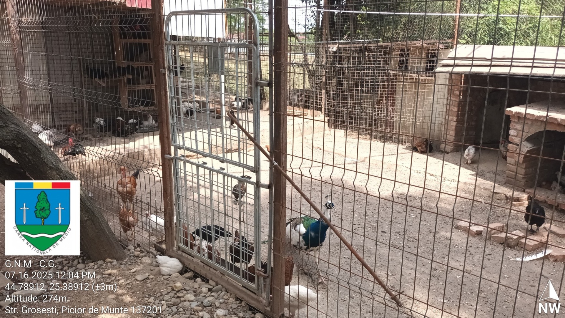 514250810_1192457752912205_6885546264486258336_n