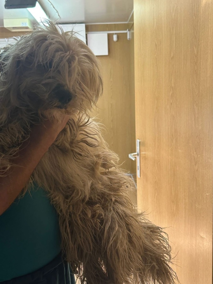 514288573_1284715726559470_3785903681788214897_n