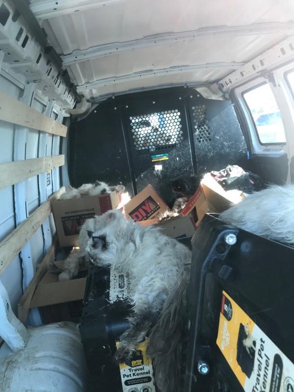 514344421_1046516630953544_3610853159360350295_n