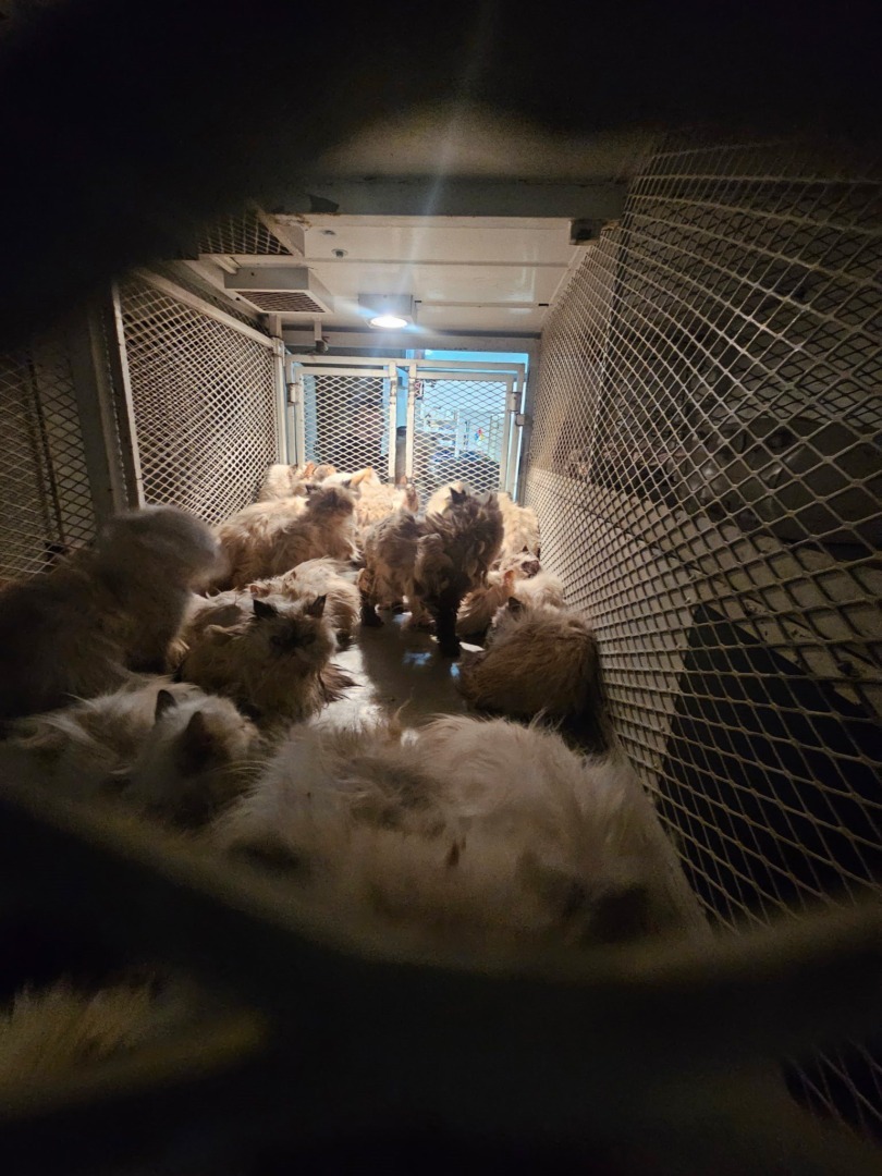 514357627_1046516864286854_3772482420331129440_n