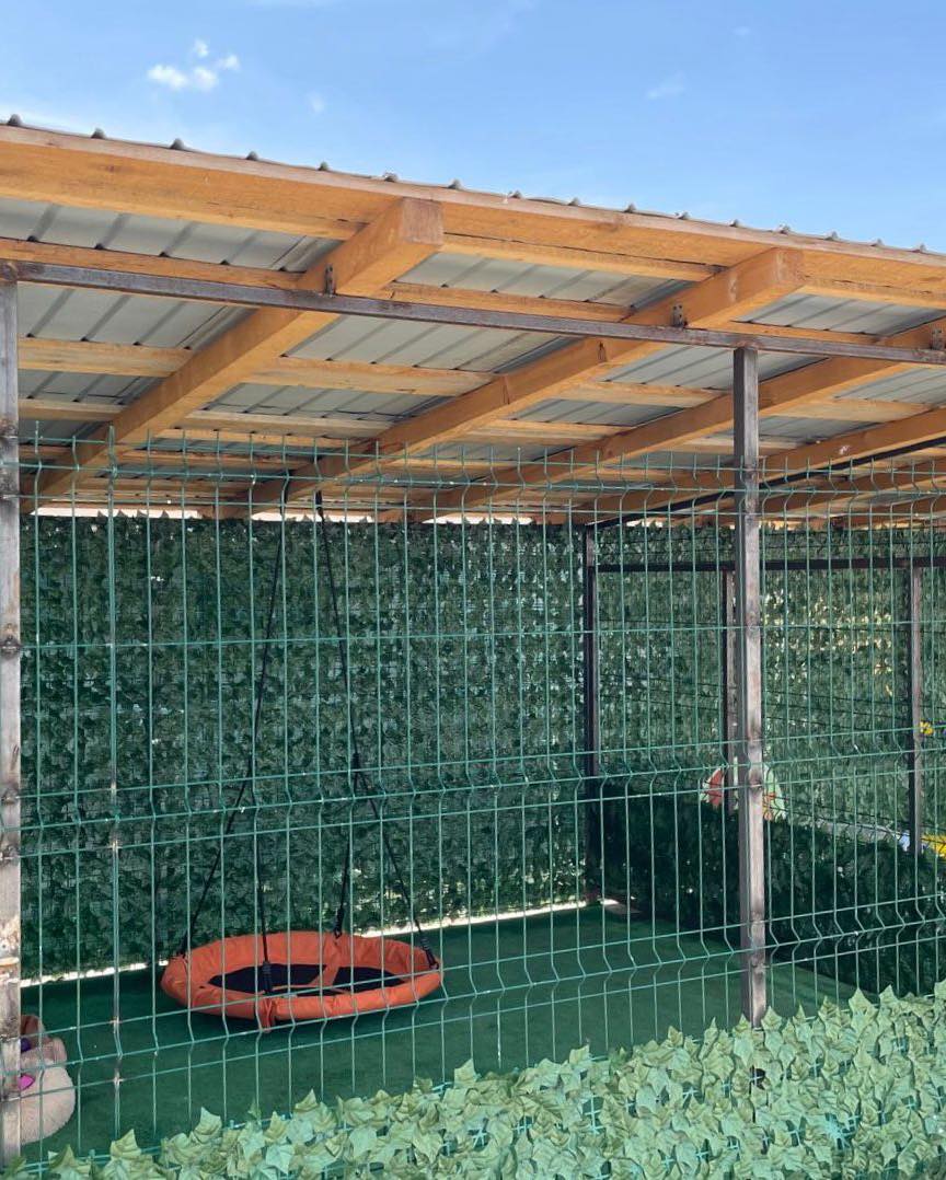 514367977_1078535174431619_5007309408583891860_n