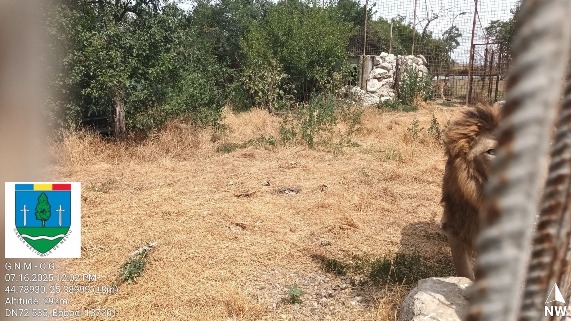 514406392_1192457866245527_8566271834249933389_n