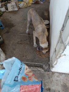 514732725_1029760639346865_2181180059421479912_n (1)