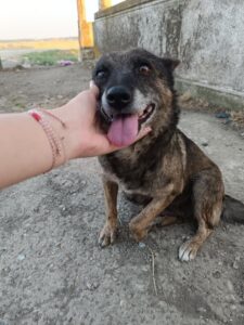 515165178_1281514190074712_5930816452348141120_n