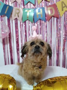 515201047_680371924958186_7025929033746912324_n