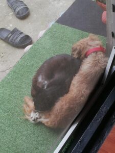 515201453_1050170576830260_4390012235300438172_n