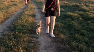 515215305_1388942612646630_4528891227414691453_n