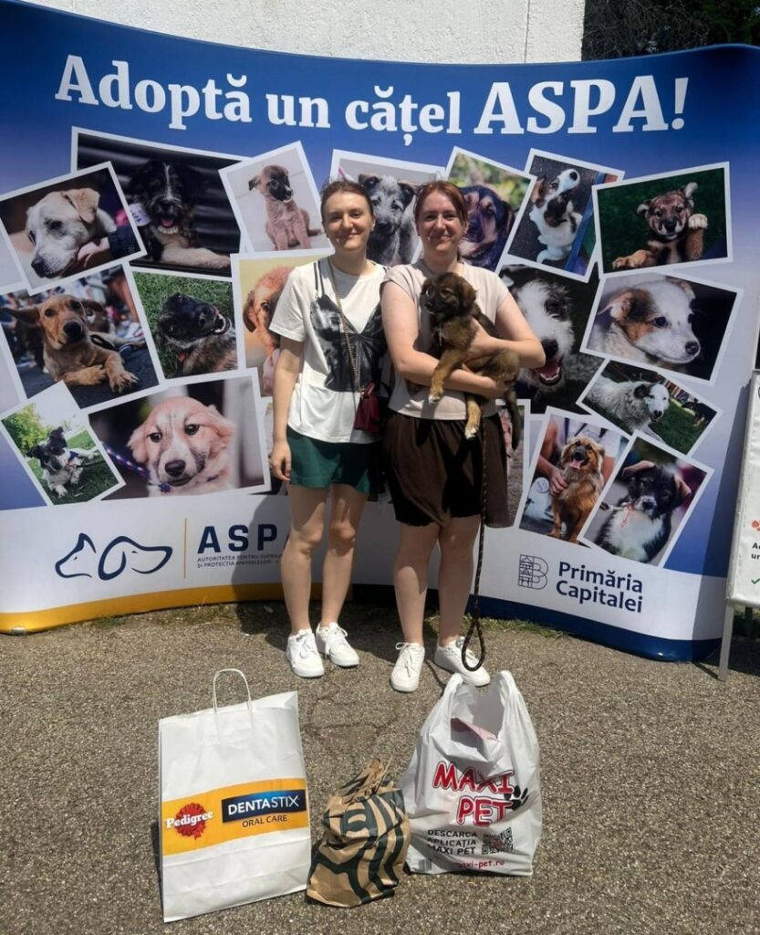 515313920_1075687221383081_5590355549266007700_n